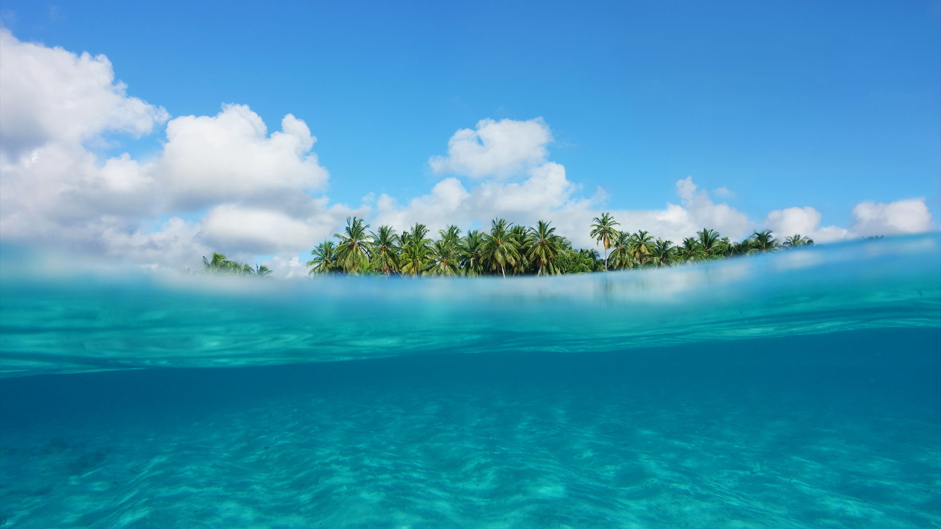 Relax along the sea