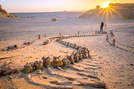 Fayoum